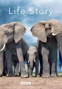 История жизни (2014)